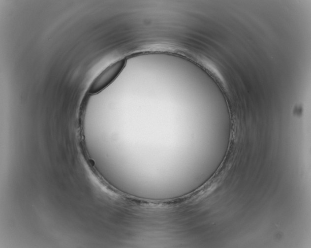 X0000089661087200706210725