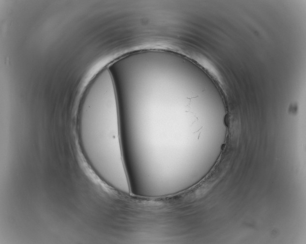 X0000089661088200706210725