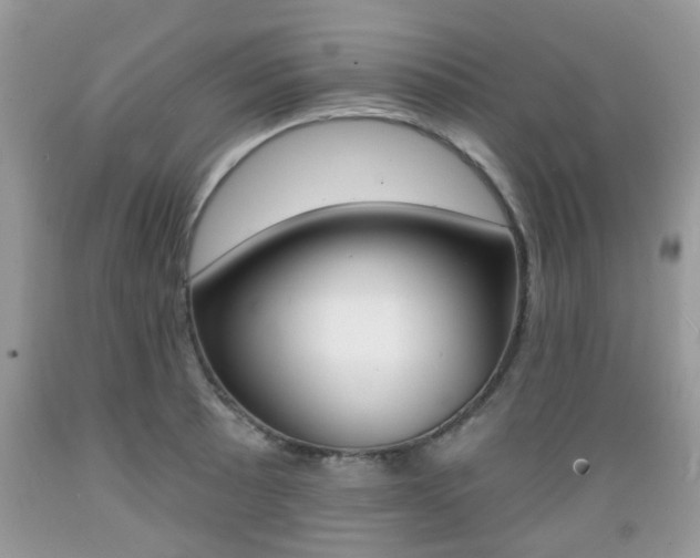 X0000089661089200706210725