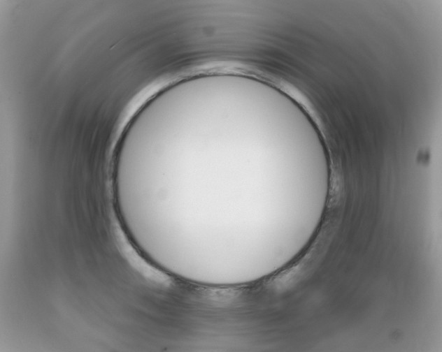 X0000089661090200706210725