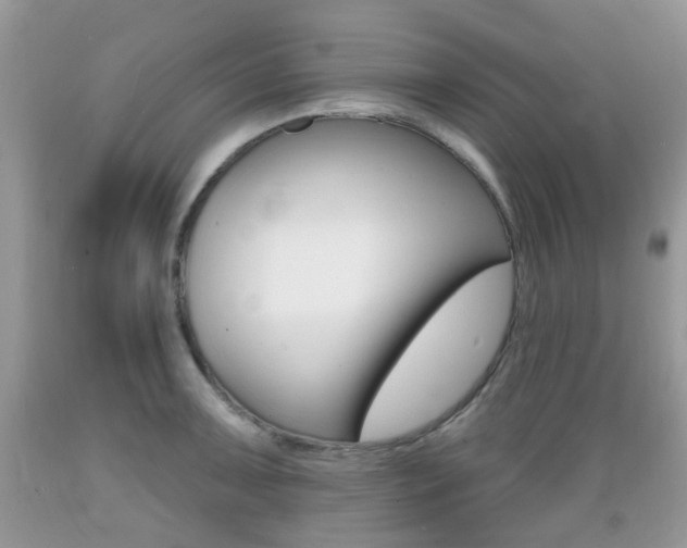 X0000089661091200706210725