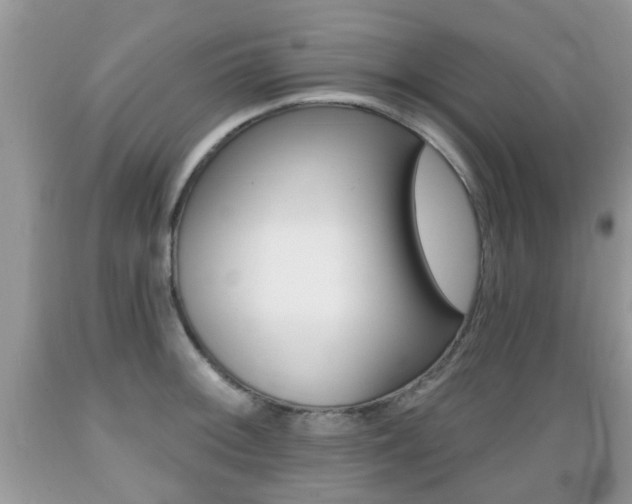 X0000089661092200706210725