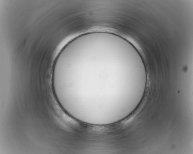 X0000089661094200706210725