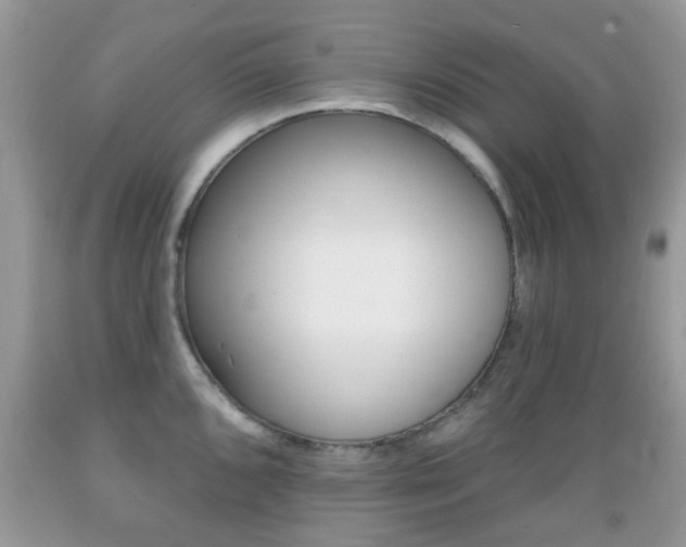 X0000089661096200706210725