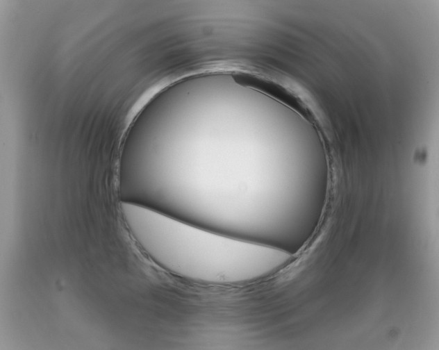X0000089661097200706210725