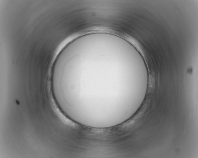 X0000089661098200706210725
