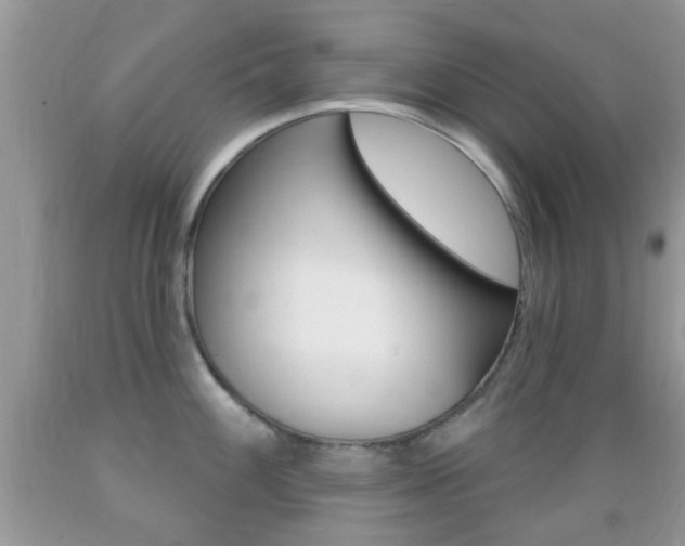 X0000089661100200706210725