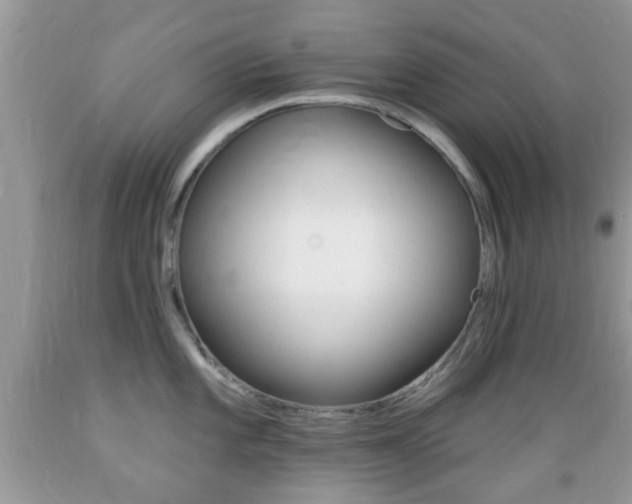 X0000089661101200706210725