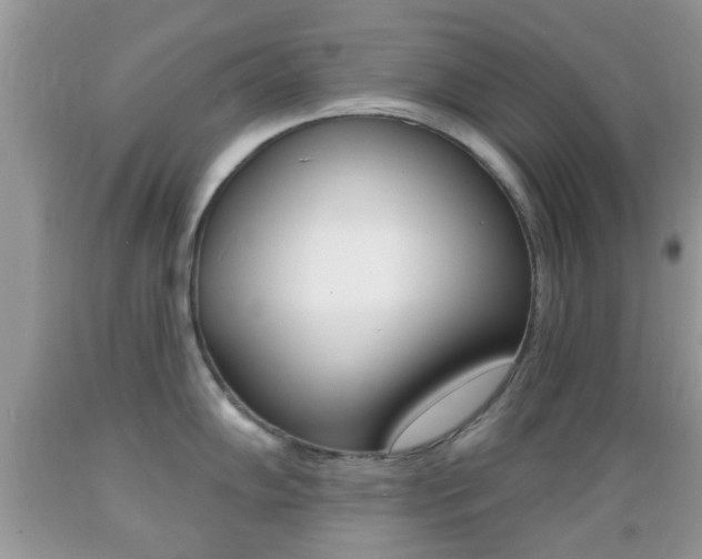 X0000089661102200706210725