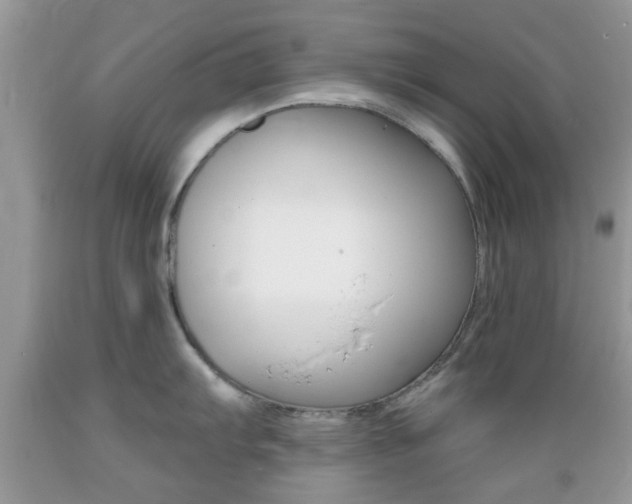 X0000089661103200706210725