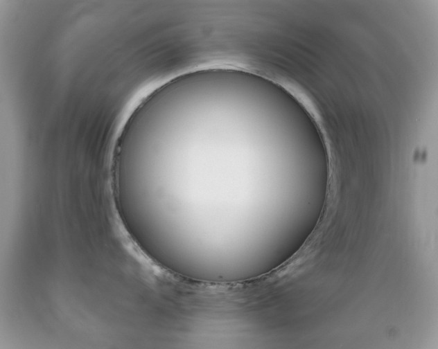 X0000089661104200706210725