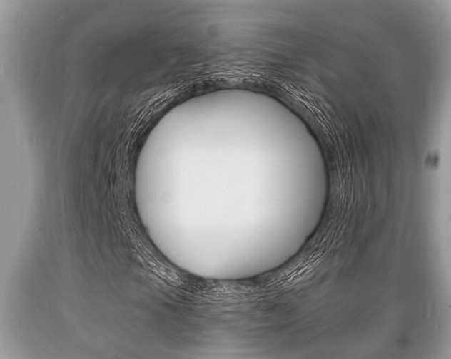 X0000089661105200706210724