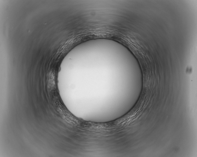 X0000089661106200706210724