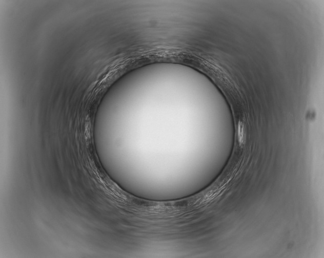 X0000089661107200706210724