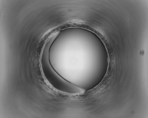 X0000089661112200706210724