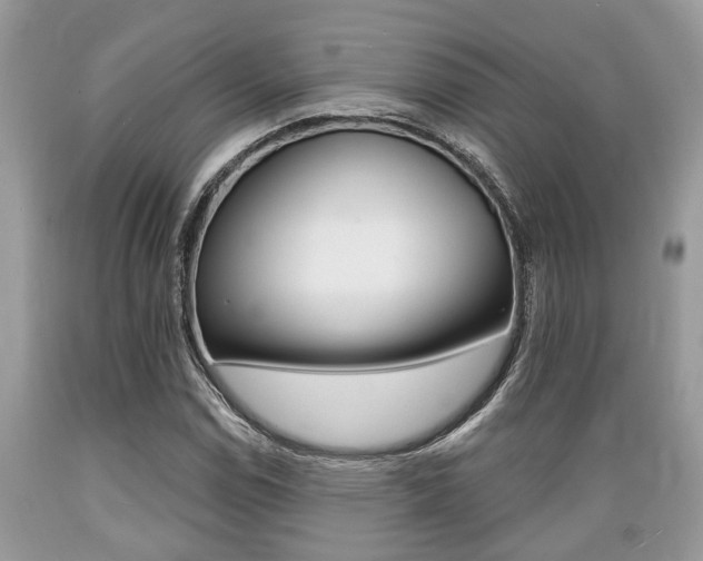 X0000089661114200706210724