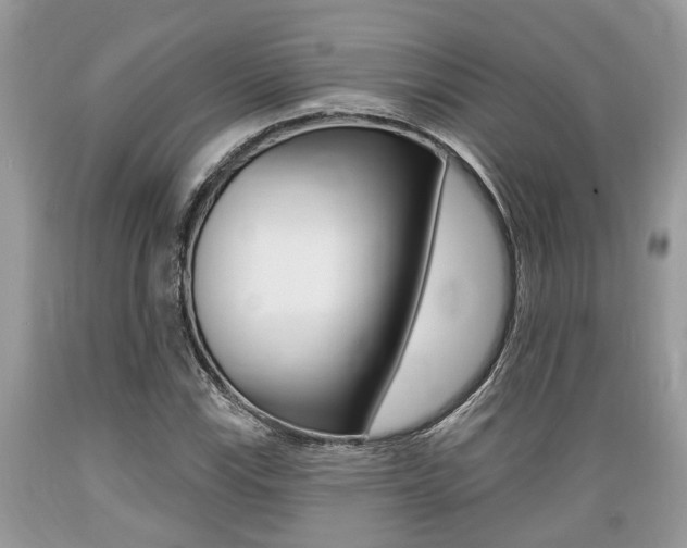 X0000089661115200706210724