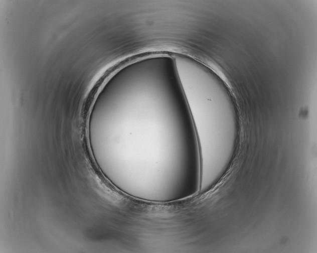 X0000089661116200706210724
