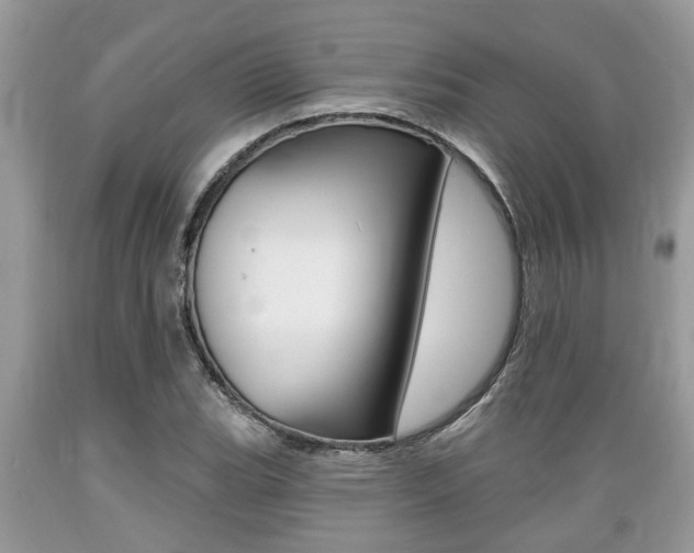 X0000089661119200706210724