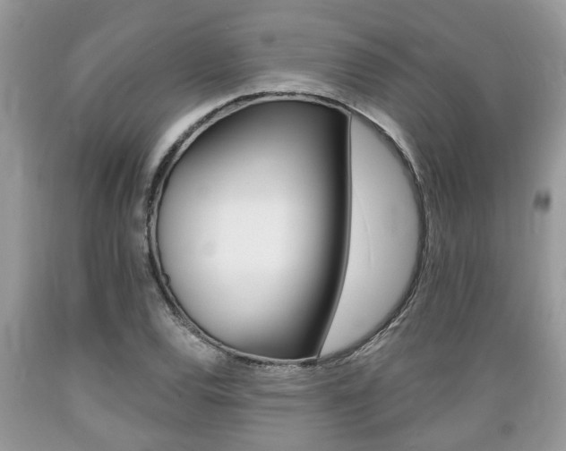 X0000089661120200706210724