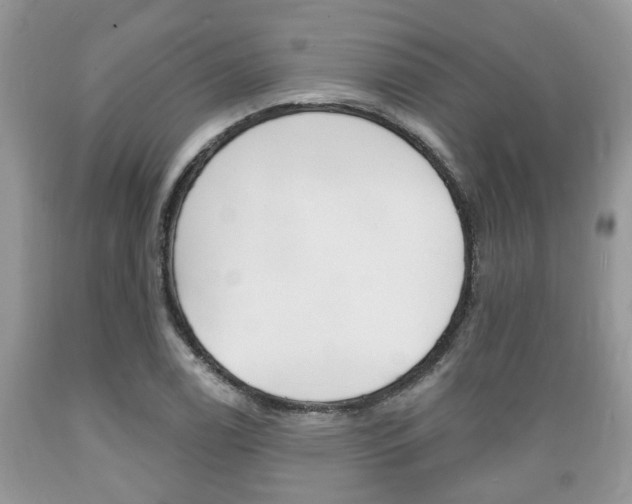 X0000089661122200706210724