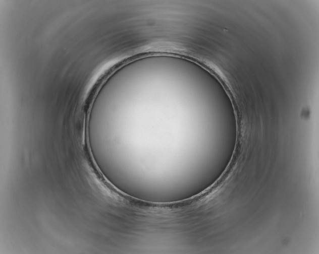 X0000089661123200706210724