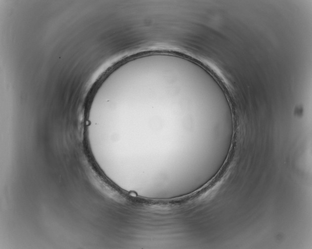 X0000089661126200706210724