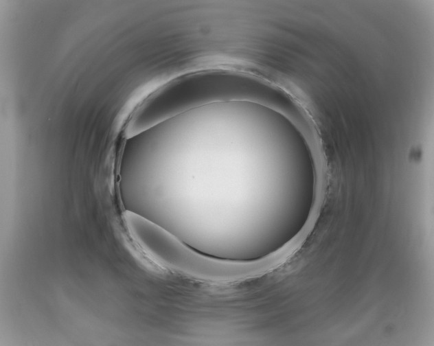 X0000089661128200706210724