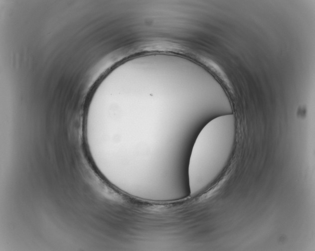 X0000089661130200706210725