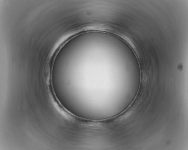 X0000089661131200706210725