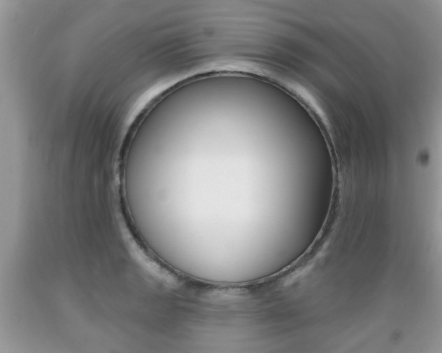 X0000089661133200706210725