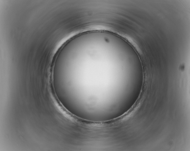 X0000089661134200706210725