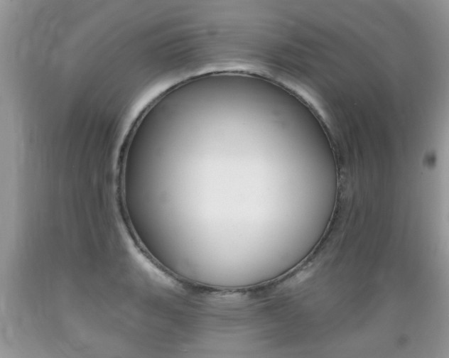 X0000089661135200706210725