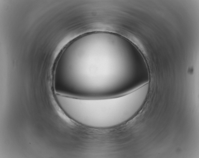 X0000089661136200706210725