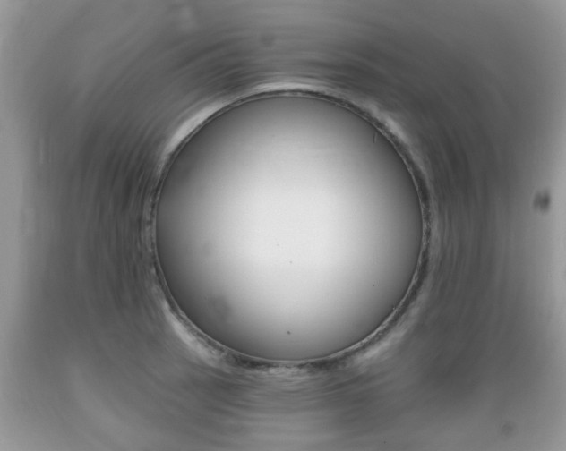X0000089661137200706210725