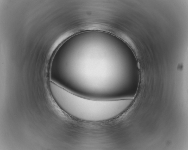 X0000089661138200706210725
