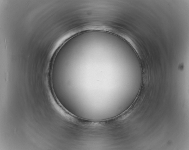 X0000089661139200706210725