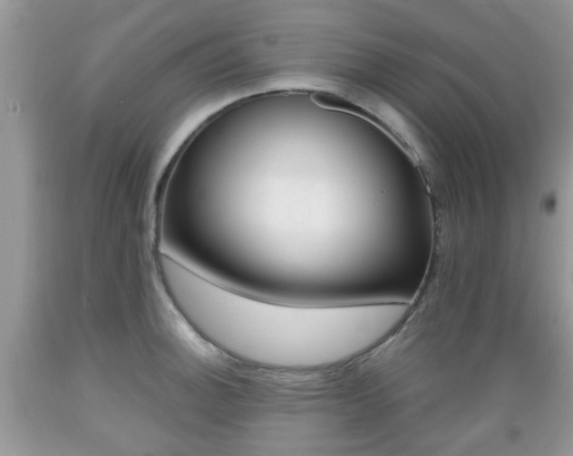X0000089661140200706210725