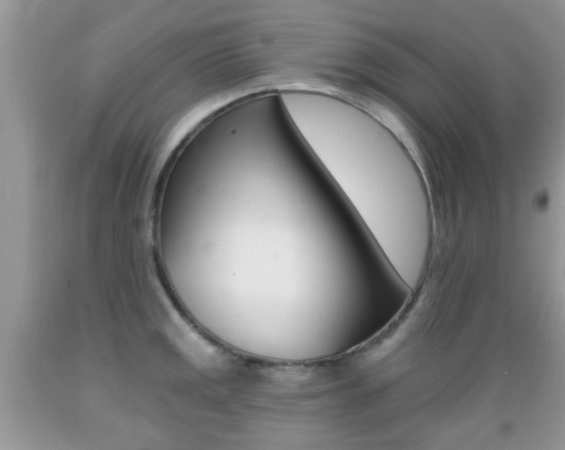 X0000089661141200706210725