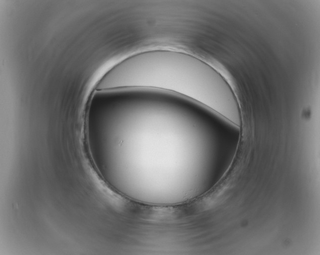 X0000089661144200706210725