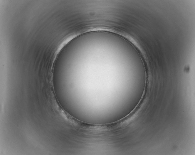 X0000089661145200706210725