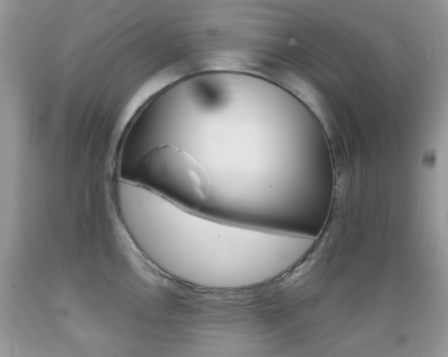 X0000089661146200706210725