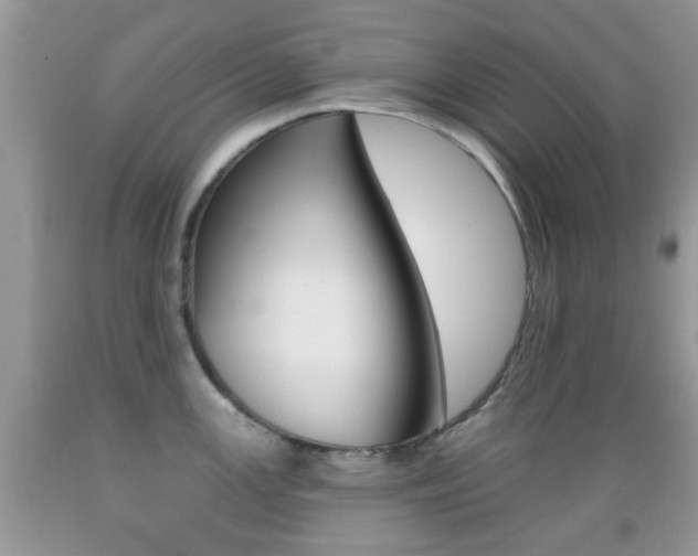 X0000089661147200706210725