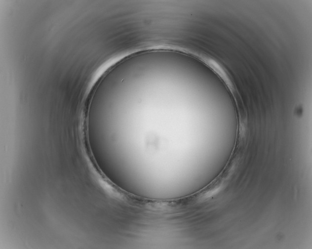 X0000089661149200706210725