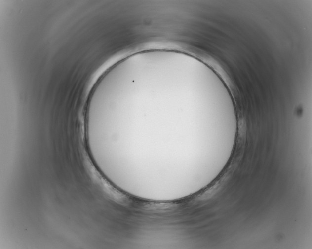 X0000089661150200706210725