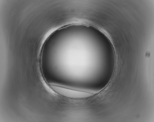 X0000089661152200706210725