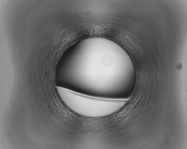 X0000089661153200706210724