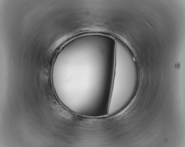 X0000089661163200706210724