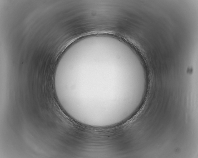 X0000089661169200706210724