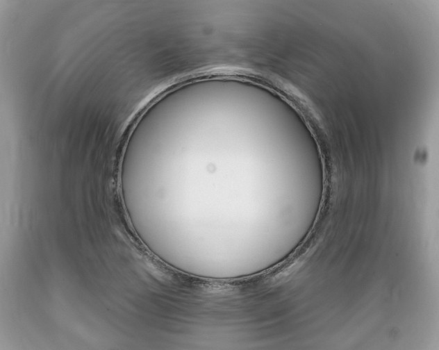 X0000089661170200706210724
